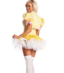 Satuprinsessa rooliasu
